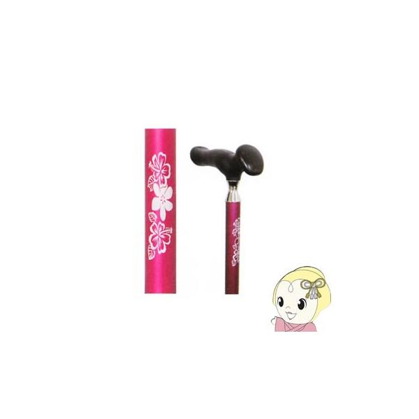 y[J[z WB3835 ~S 邪[^[i܏􎮁j [Y