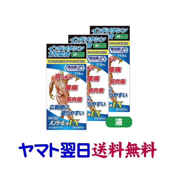 バンダール液EX 110mL ×3個セット インドメタシン配合 三友薬品