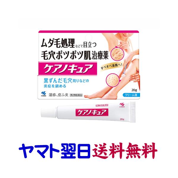 ケアノキュア 20g 黒ずんだ毛穴ポツポツ肌に 小林製薬 : くすりの京都