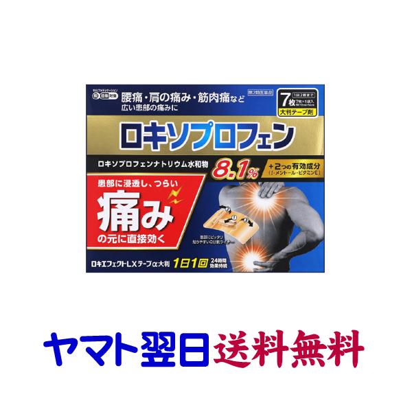 ロキソニンxlさん専用 ロキソニンS ロキソニンSプレミアム 24錠 解熱鎮痛剤 頭痛 発熱