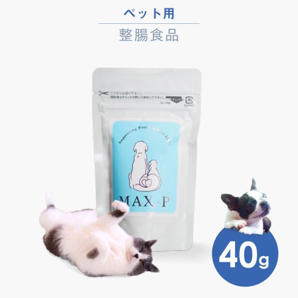 MAX-PROBIO MAX-P 40g ペット用整腸食品 犬 猫 ウサギ 小鳥 ハムスター
