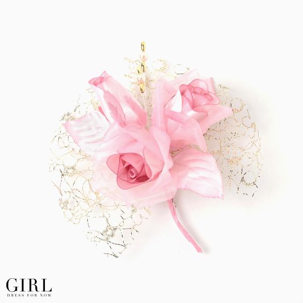 RT[W t[RT[W  p[eB[ tH[} t[   ANZT[  a  w  