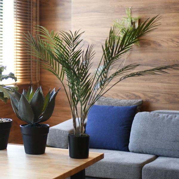 ϗtA tFCNO[ {^jJ   |bg  Brown. uE AJV |bg 70