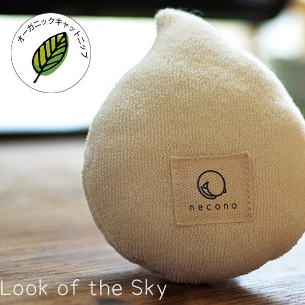 L  ʂ  Lpi necono lRm L̂ Lbgjbv J