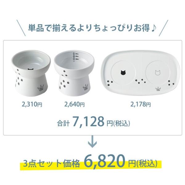 猫 食器 セット 皿 ウォーターボウル 猫壱 大人猫ごはんセット (ご飯皿 