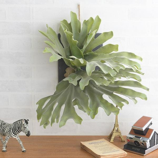 tFCNO[ Ǌ| nMO   Brown. uE tFCNO[ rJNV_ EH[nMO X[g 30