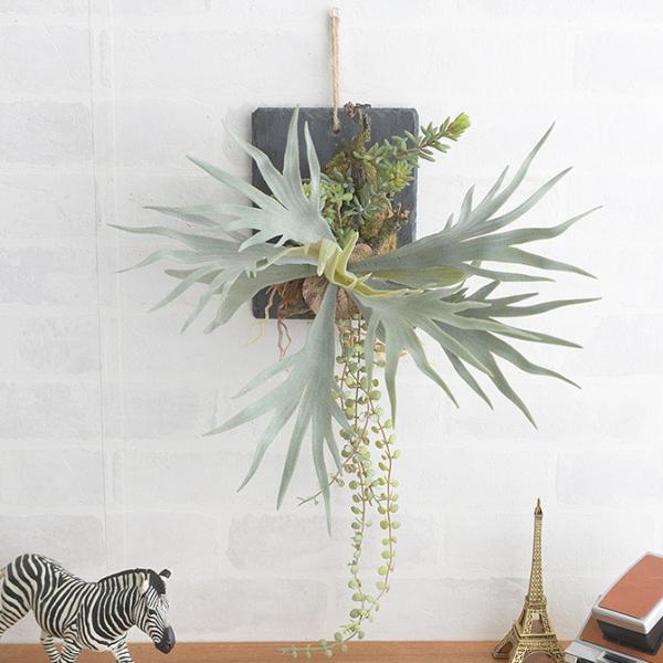 tFCNO[ Ǌ| nMO   Brown. uE tFCNO[ rJNV_ EH[nMO X[g 20