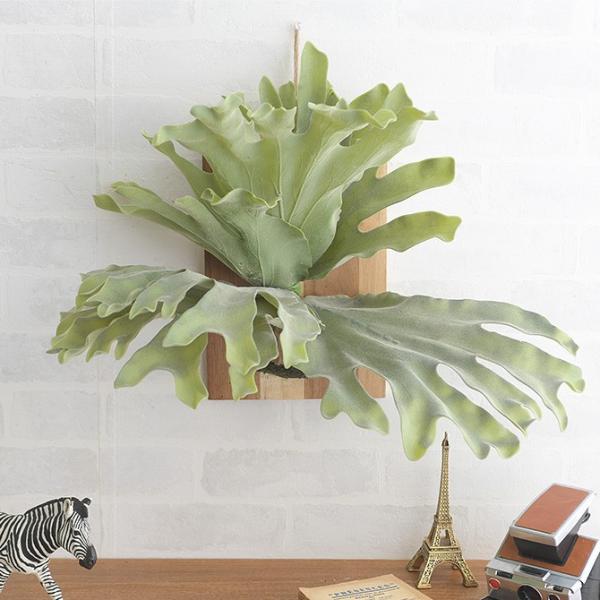 tFCNO[ Ǌ| nMO   Brown. uE tFCNO[ rJNV_ EH[nMO AJVA 30