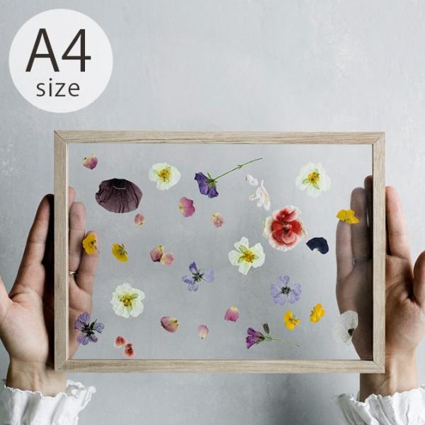 |X^[t[ k  A4 ؐ MOEBE [x FRAME t[ A4 I[N