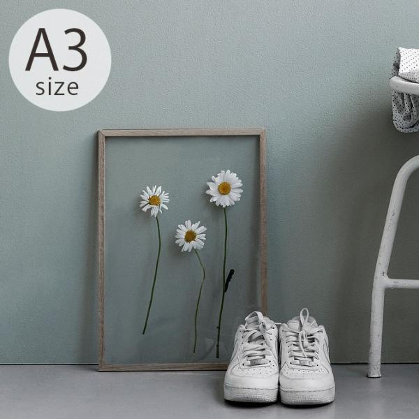 |X^[t[ k  A3 ؐ MOEBE [x FRAME t[ A3 I[N