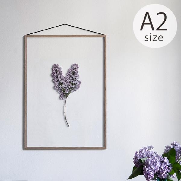 |X^[t[ k  A2 ؐ MOEBE [x FRAME t[ A2 I[N