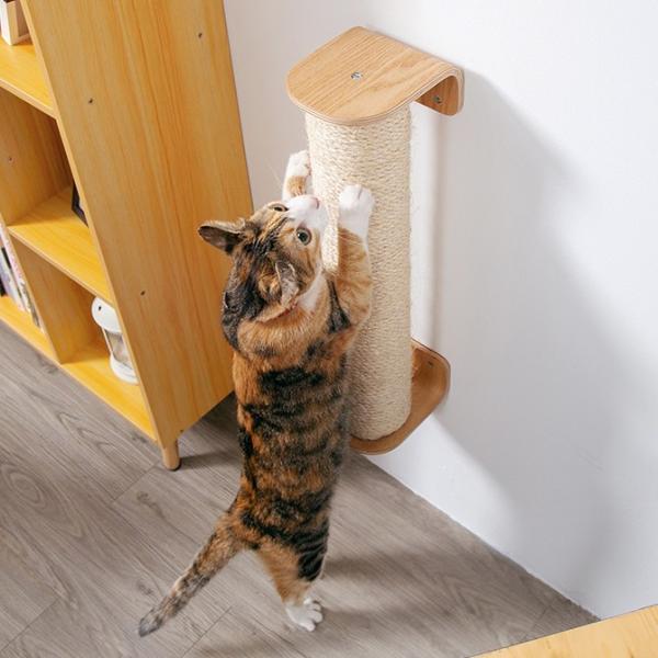 L ܂Ƃ LbgEH[N ߂Ƃ cgM L ܂Ƃ MYZOO }CY[ CYLINDER ܂Ƃ|[