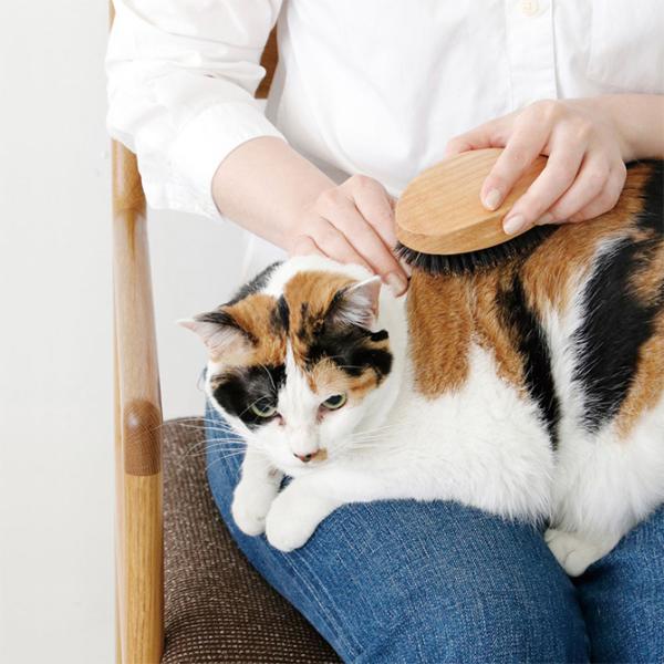 Lp uV o ubVO NV PET uV I[NEbh BOAR