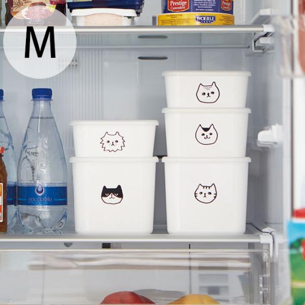 ۑe t[hXgbJ[  L X^bLO SO-Q STYLE \[L[X^C PFF NECO XNGAXgbJ[ M