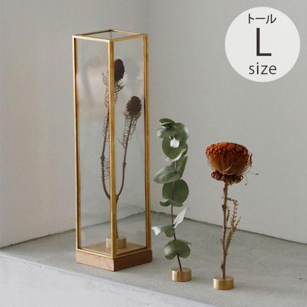 fBXvC{bNX KX ^J  hCt[ Horn Please z[ v[Y BRASSt[ fBXvC{bNX g[ L