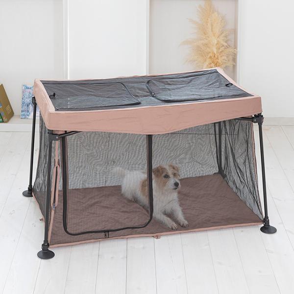  T[N P[W nEX bV p T[N PET SELECT ybgZNg ߂Đ􂦂ybgT[N X