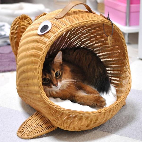 ybgxbh Lbgxbh Lpxbh xbh nEX NbV ^ xbh