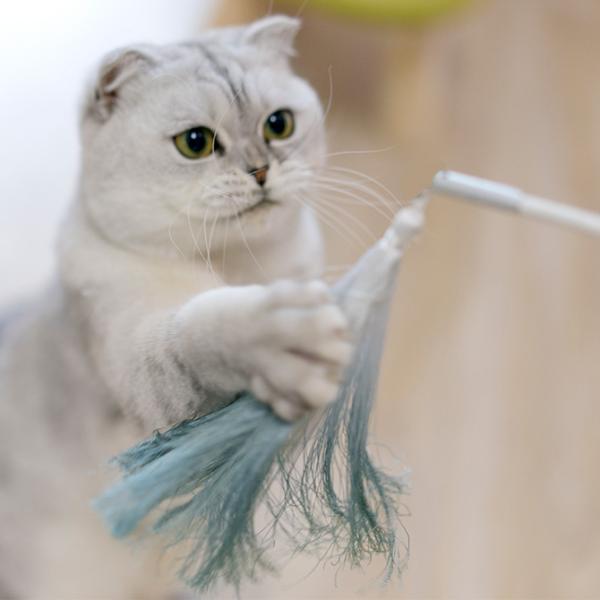 猫じゃらし 猫 おもちゃ ねこじゃらし 猫用品 Pidan ピダン Tassel Refil つけかえ用おもちゃ Buyee Buyee Japanese Proxy Service Buy From Japan Bot Online