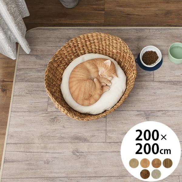 ybg J[ybg }bg O 􂦂 ybgpؖڒO 200×200cm
