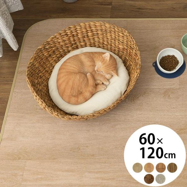 ybg J[ybg }bg O 􂦂 ybgpؖڒ}bg 50×120cm