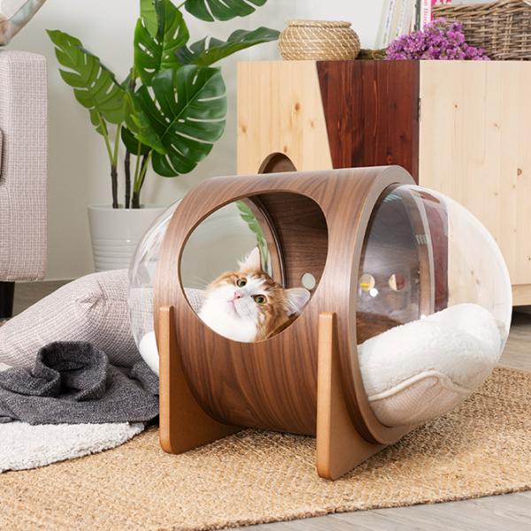 ybgxbh L xbh FD nEX ؐ MYZOO }CY[ Spaceship Alpha Wood FD At@ Ebh