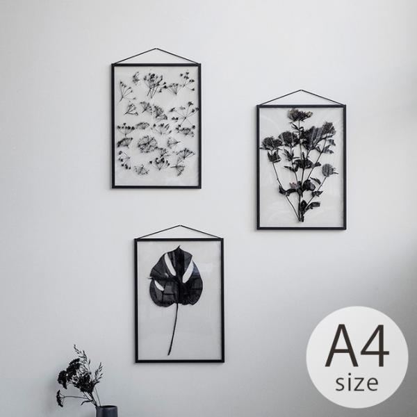 |X^[t[ k  A4 mg[ MOEBE [x FRAME t[ A4