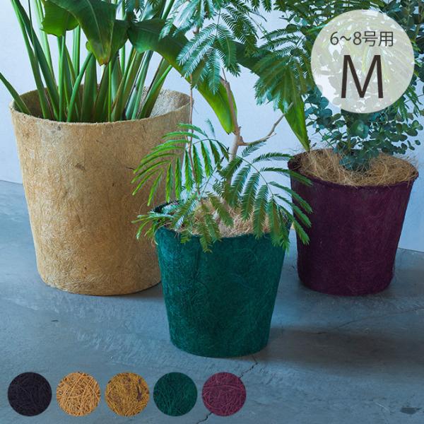 Jo[ |bgJo[ \[T[t  6 100percent 100p[Zg Earth Pot A[X|bg M