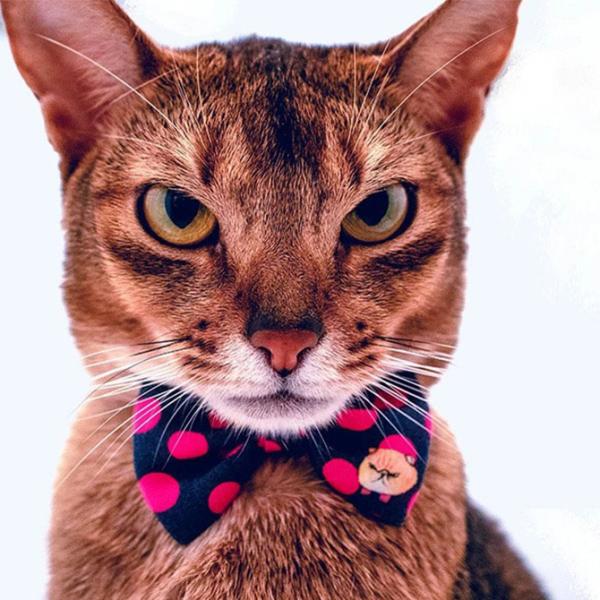 L  L̎ 킢  L  necono lRm ˂p@{̎ց@mannine cat Ribbon necklace