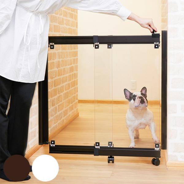 p Q[g  Eh~ Nh~ hM[tFX 2dl