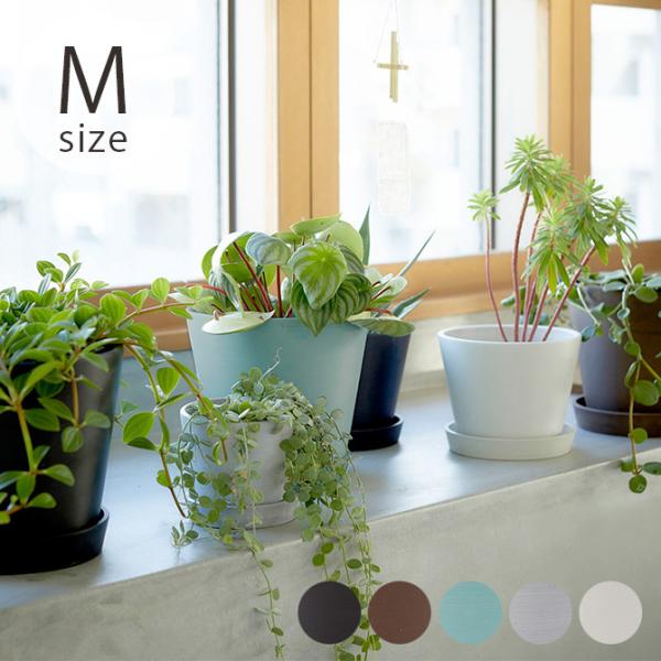 |bg Aؔ  5 GR Horn Please z[ v[Y GRth[ t[|bg e[ W/v[g M