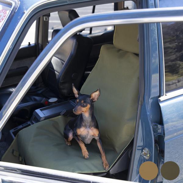 hCuV[g J[V[g    Whole Earth z[A[X ybgV[g 2