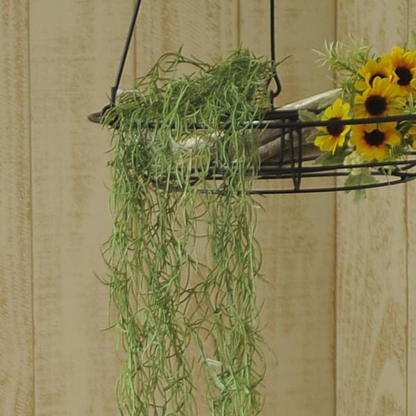 tFCNO[ nMO  XpjbVX fBXvC tFCNO[ XpjbVX nK[