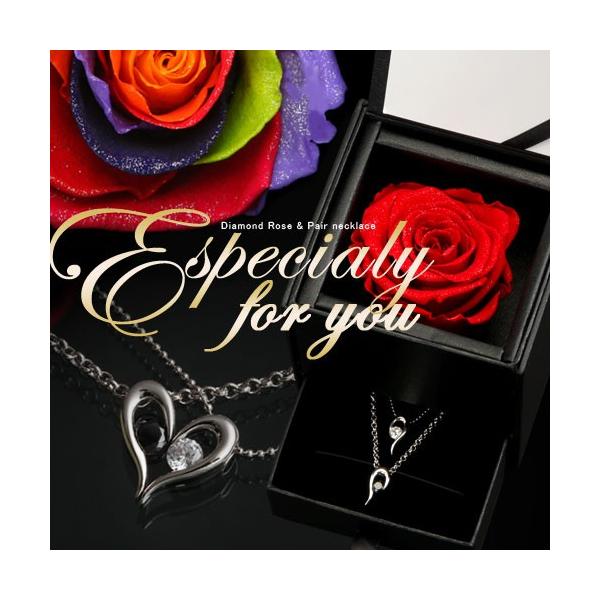 yAlbNX Ɩb×[YxVA@킹ăn[gyAlbNX