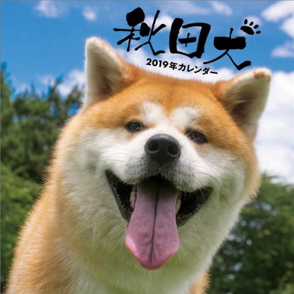 秋田犬 画像 みんな探してる人気モノ 秋田犬 画像 本 雑誌 コミック