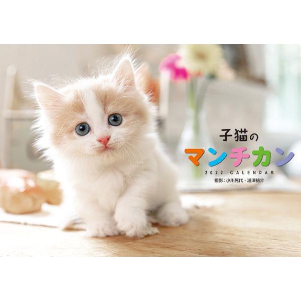 猫 かわいい 文房具 カレンダーの人気商品 通販 価格比較 価格 Com