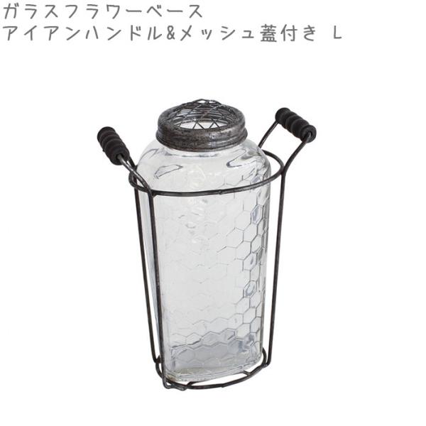 エアプランツ ガラスの人気商品 通販 価格比較 価格 Com