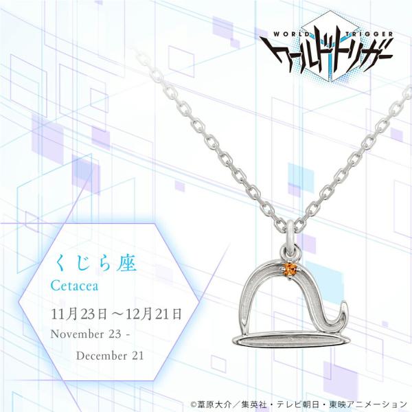 giv-store_wt0200046100