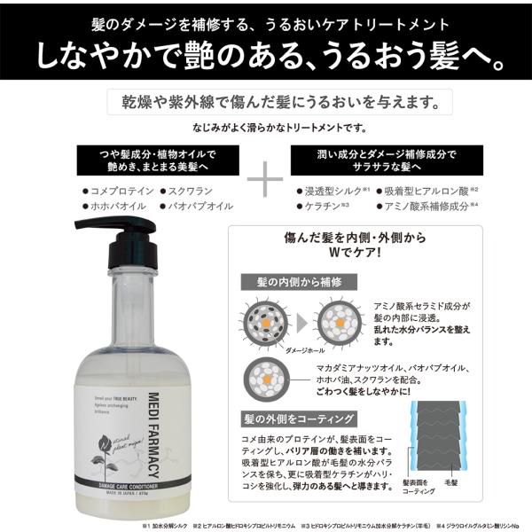 give-give_mfs002_4_d_20250902123048