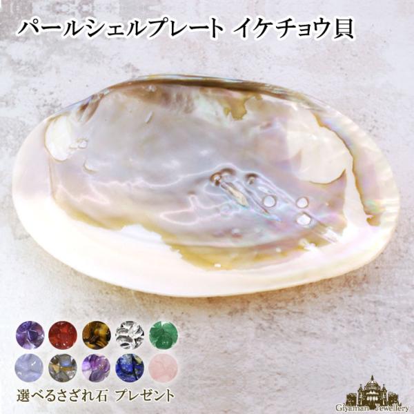 当日発送対応（休業日は除く】パールシェルプレート イケチョウ