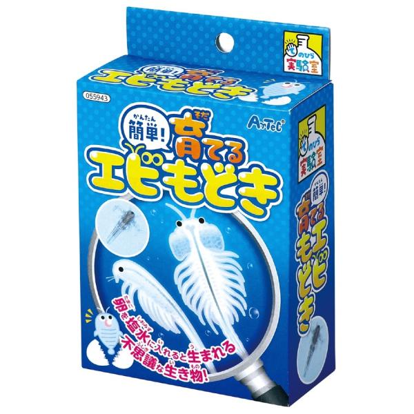 卵を塩水に入れると生まれる不思議な生き物を育てよう