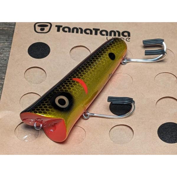 タマタマルアー はなチョーチン 火事からの生き残り03