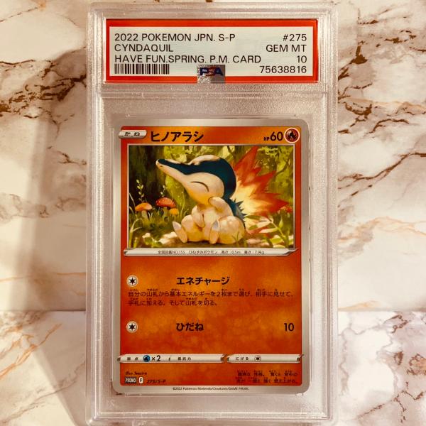 gjts_psa-cyndaquil-have-fun- gjts_psa-cyndaquil-have-fun-