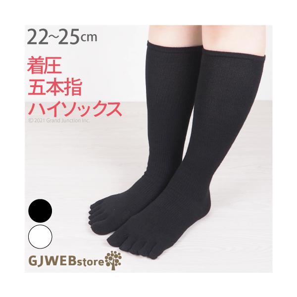 \bNX fB[X ܖ{w nC\bNX  \bNX C Ȃ K w n dp ʊw