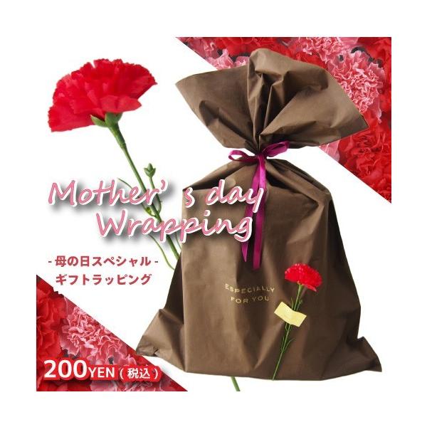 母の日限定ギフトラッピング カーネーション付き 母の日 ギフト プレゼント Buyee Buyee บร การต วกลางจากญ ป น ซ อจากประเทศญ ป น