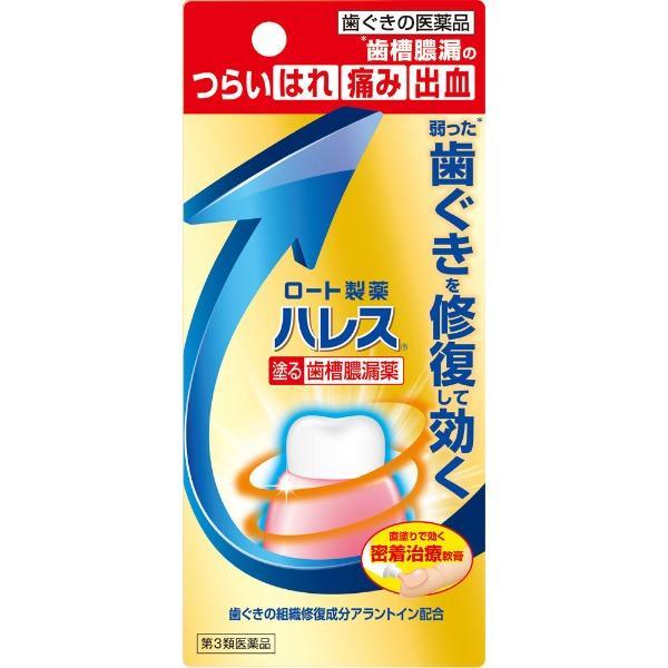 【第3類医薬品】ハレス 口内薬 15g　ロート製薬