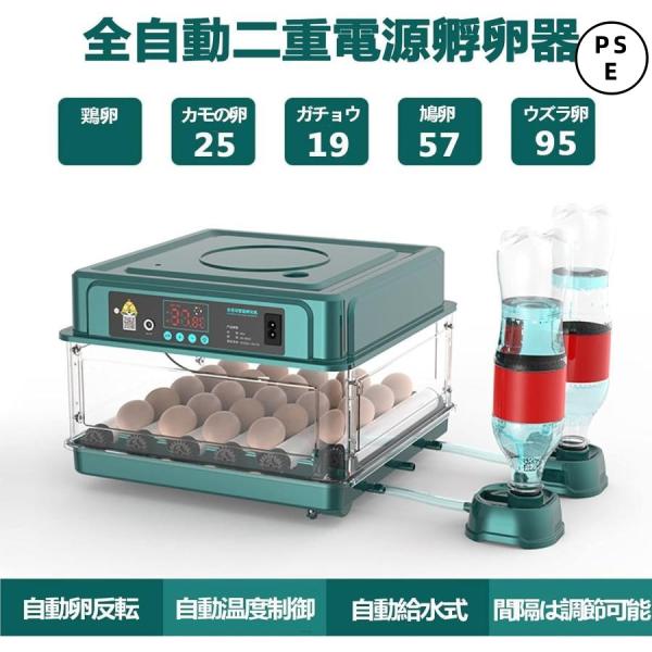 新品✨️人工孵化実現 自動孵卵器 インキュベーター 鳥類専用孵卵器 自動転卵機能 Amazon | TRQQO 自動孵卵器 鳥類専用インキュベーター 自動転卵