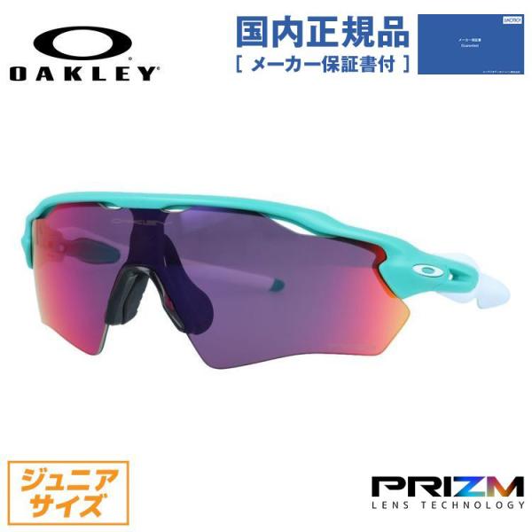 glass-expert_okly00-02301