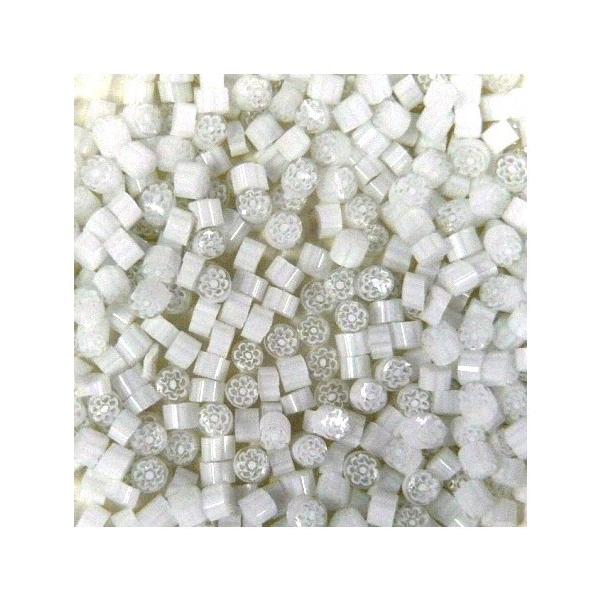 T01 100g 5-6mm WW(�z���C�g�j�����b�e�B �P�F�~���t�B�I��  �c���W��104