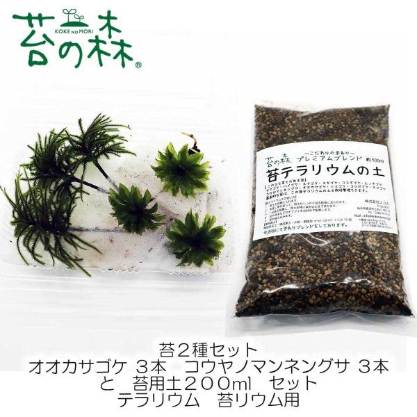 テラリウム 土の価格と最安値 おすすめ通販を激安で 観葉植物関連