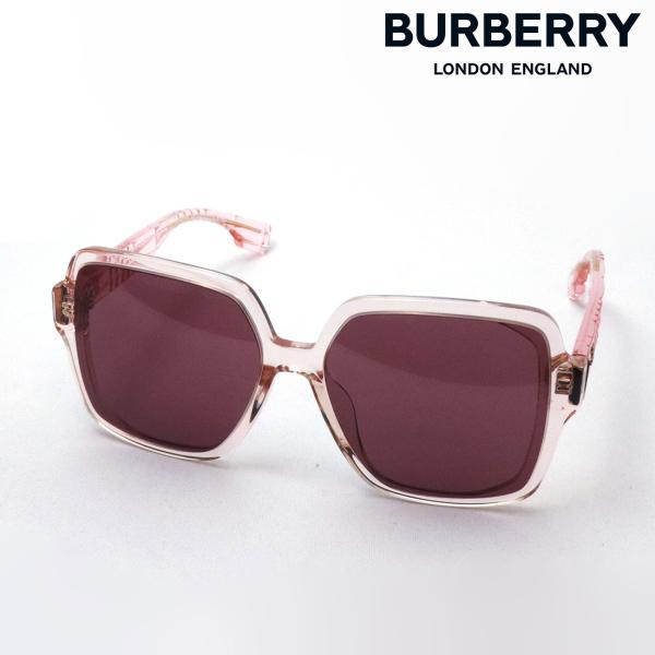 BURBERRY サングラス べっ甲柄 イタリア製 ケース付き BURBERRY